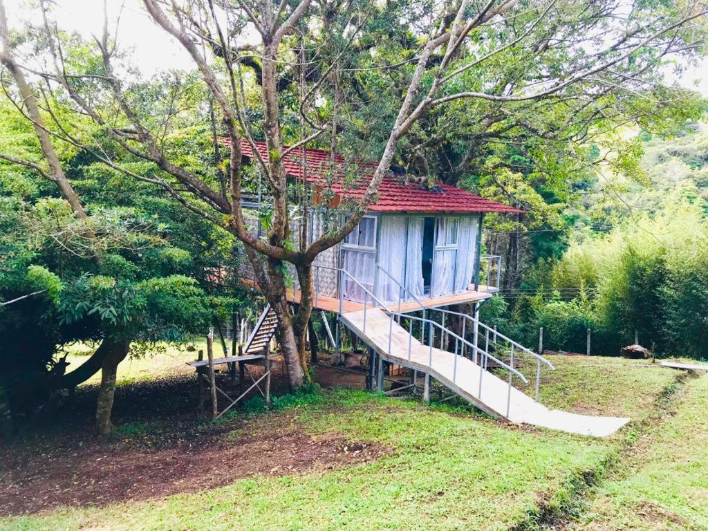 Cabaña treehouse Mountain View San Isidro  Exterior foto
